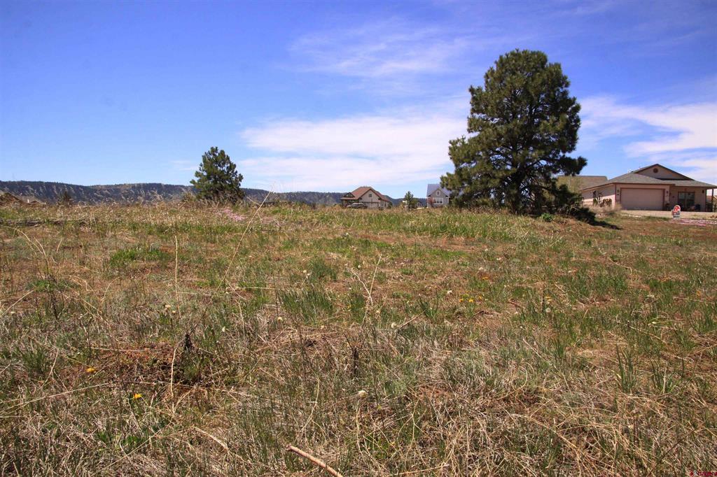 33 Paradise Drive Pagosa Springs CO 81147