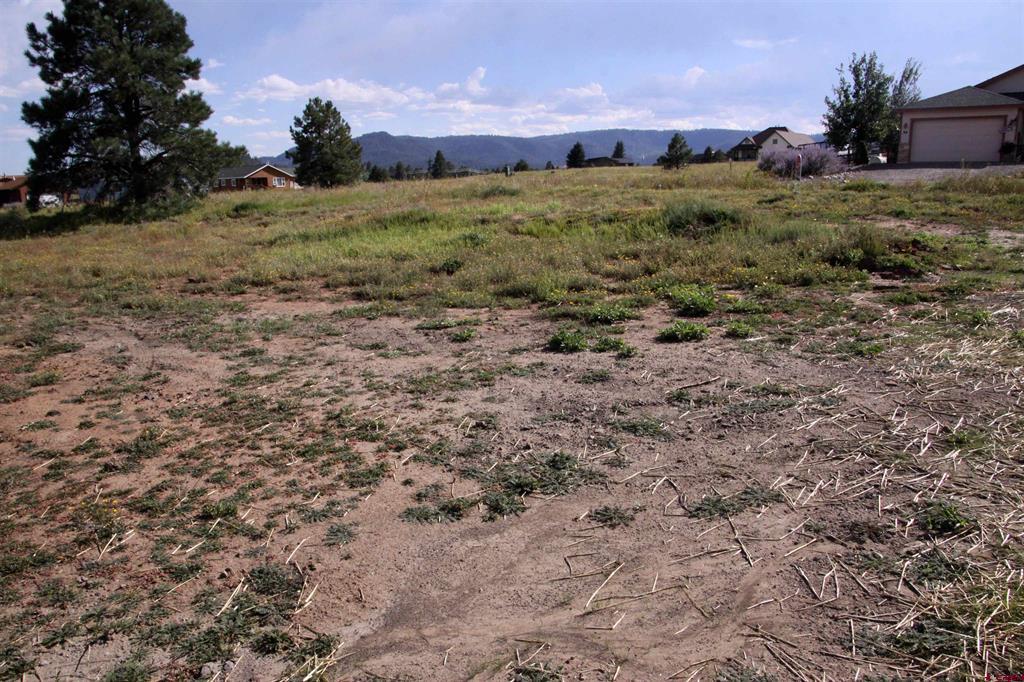 33 Paradise Drive Pagosa Springs CO 81147