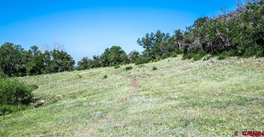 Tbd Road N Rico CO 81332
