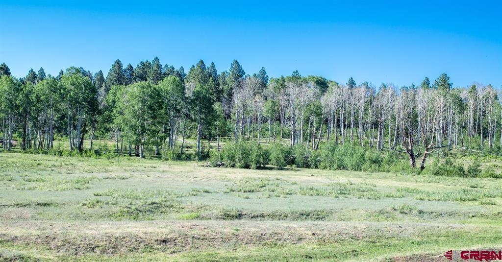 Tbd Road N Rico CO 81332