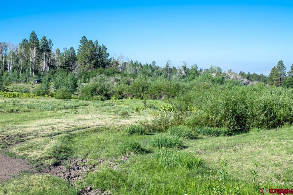 Tbd Road N Rico CO 81332