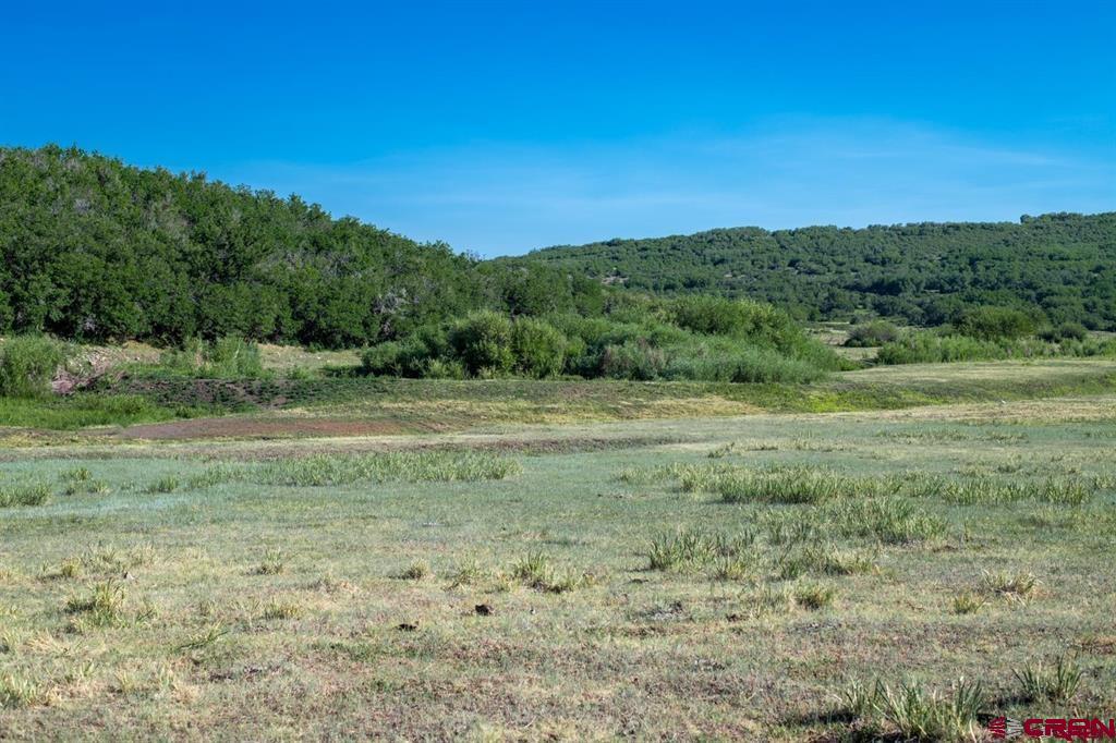 Tbd Road N Rico CO 81332