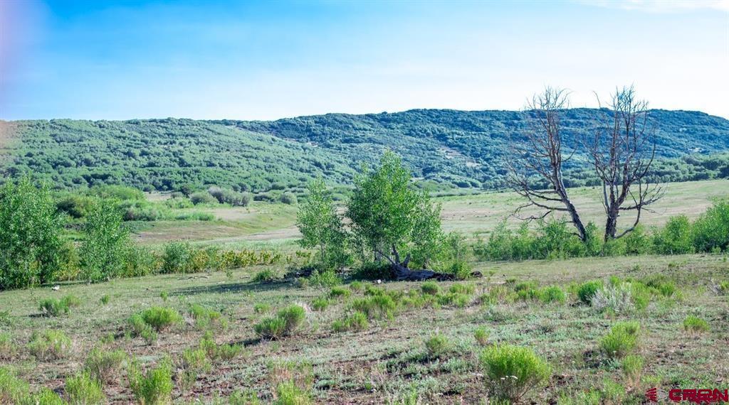 Tbd Road N Rico CO 81332