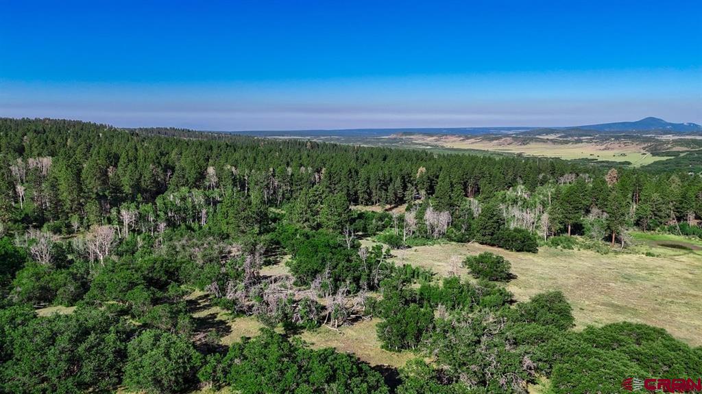Tbd Road N Rico CO 81332