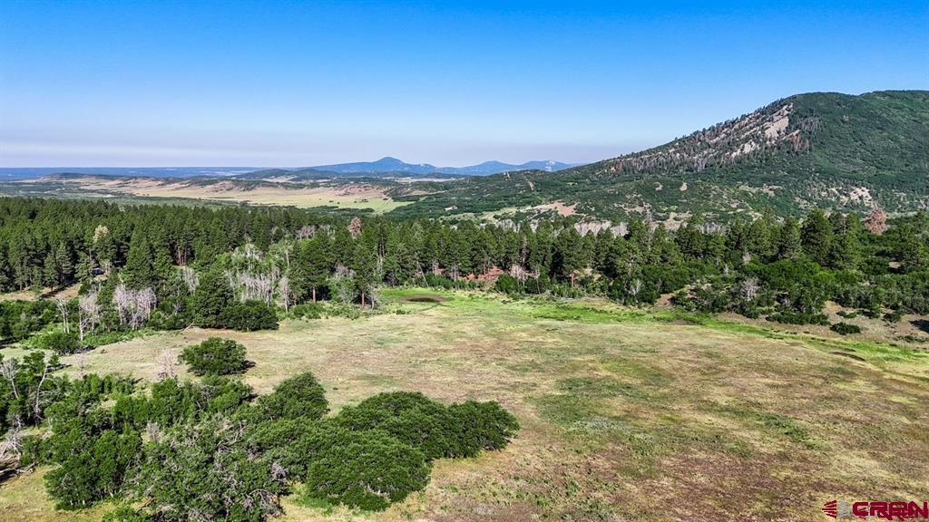 Tbd Road N Rico CO 81332