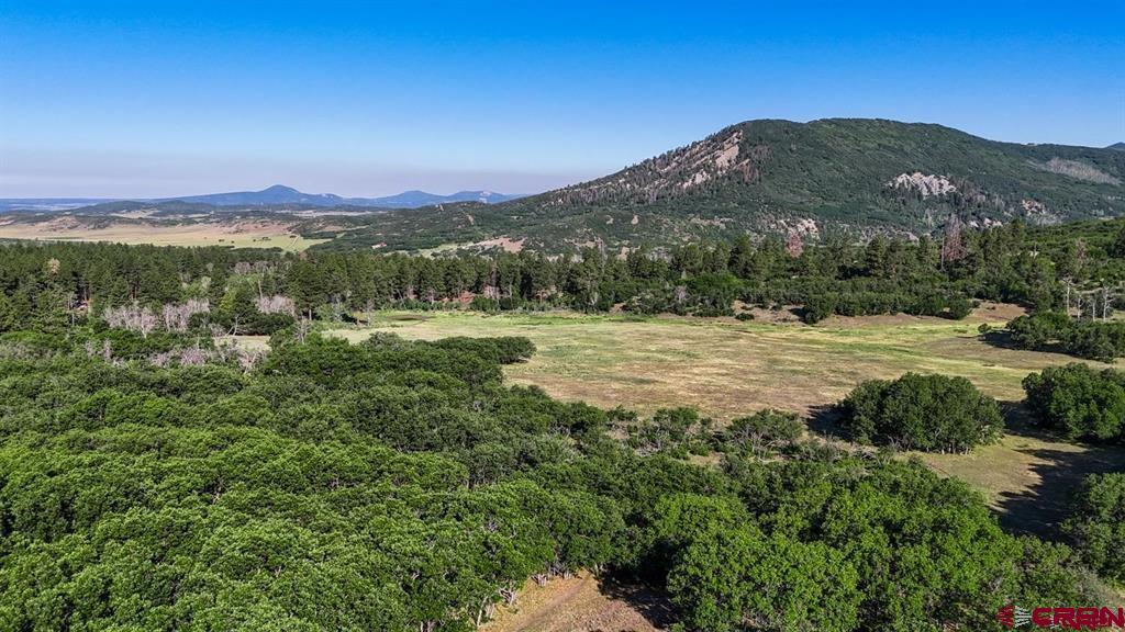 Tbd Road N Rico CO 81332
