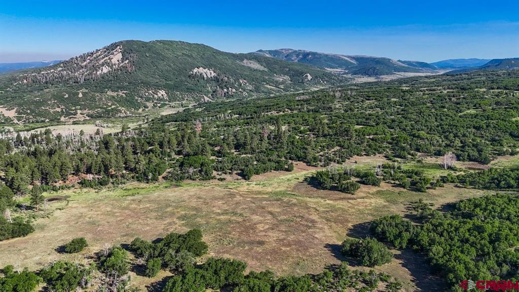 Tbd Road N Rico CO 81332