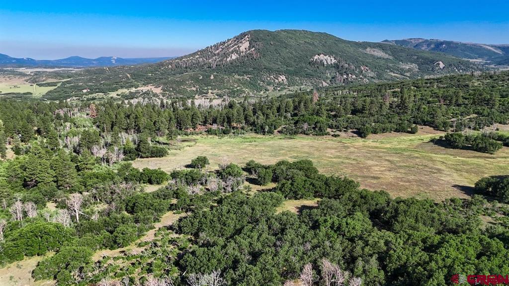 Tbd Road N Rico CO 81332