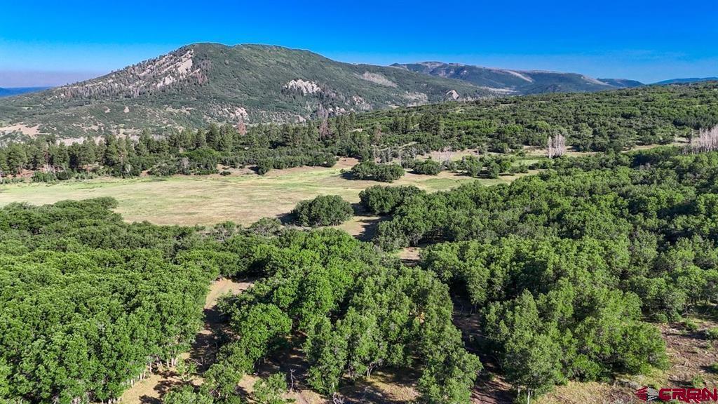 Tbd Road N Rico CO 81332