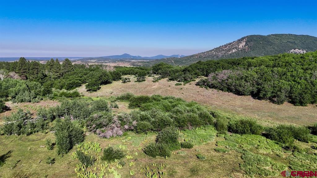 Tbd Road N Rico CO 81332