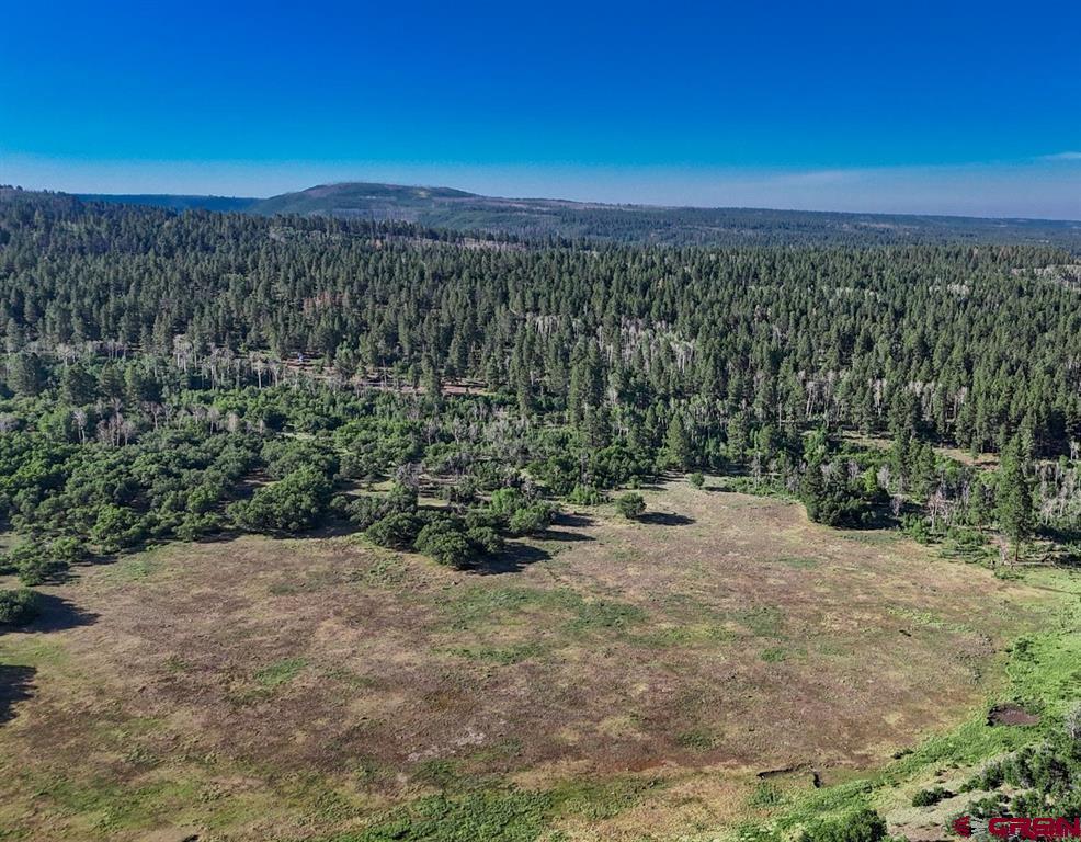 Tbd Road N Rico CO 81332