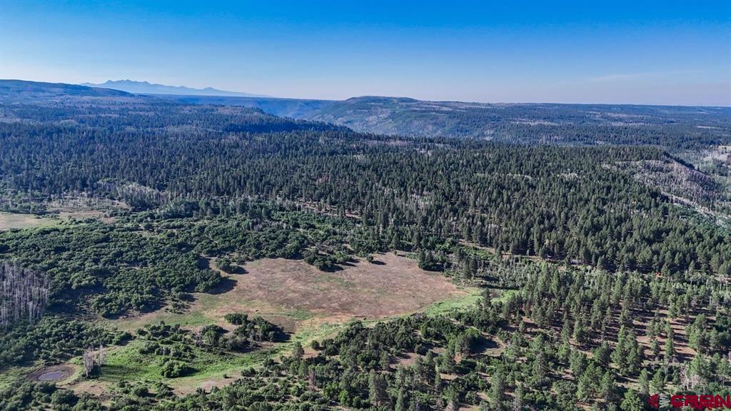 Tbd Road N Rico CO 81332