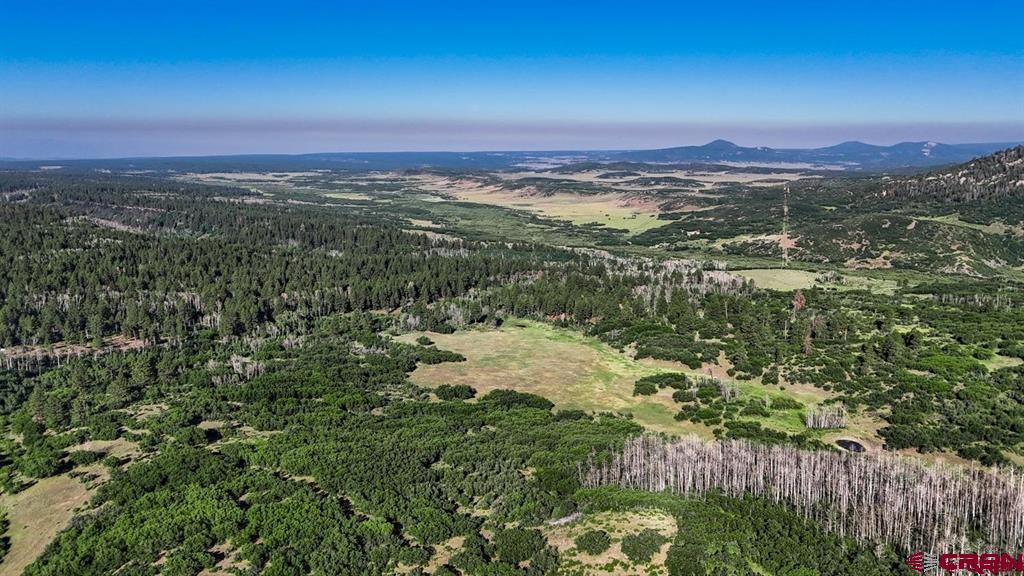 Tbd Road N Rico CO 81332