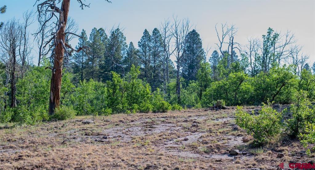 Tbd Road N Rico CO 81332