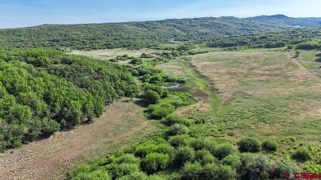 Tbd Road N Rico CO 81332