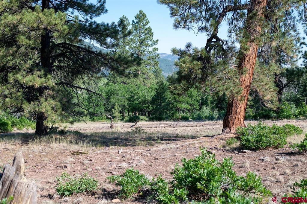 Tbd Road N Rico CO 81332