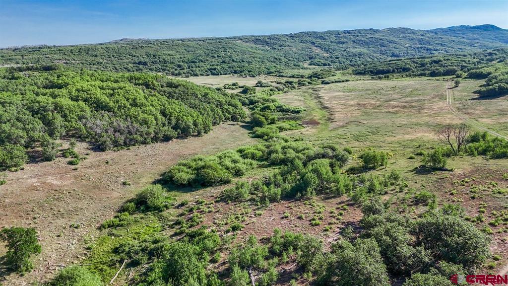 Tbd Road N Rico CO 81332