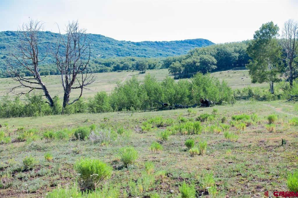 Tbd Road N Rico CO 81332