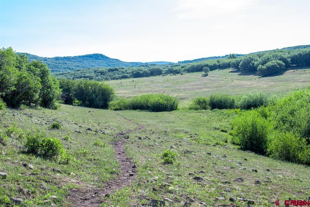 Tbd Road N Rico CO 81332