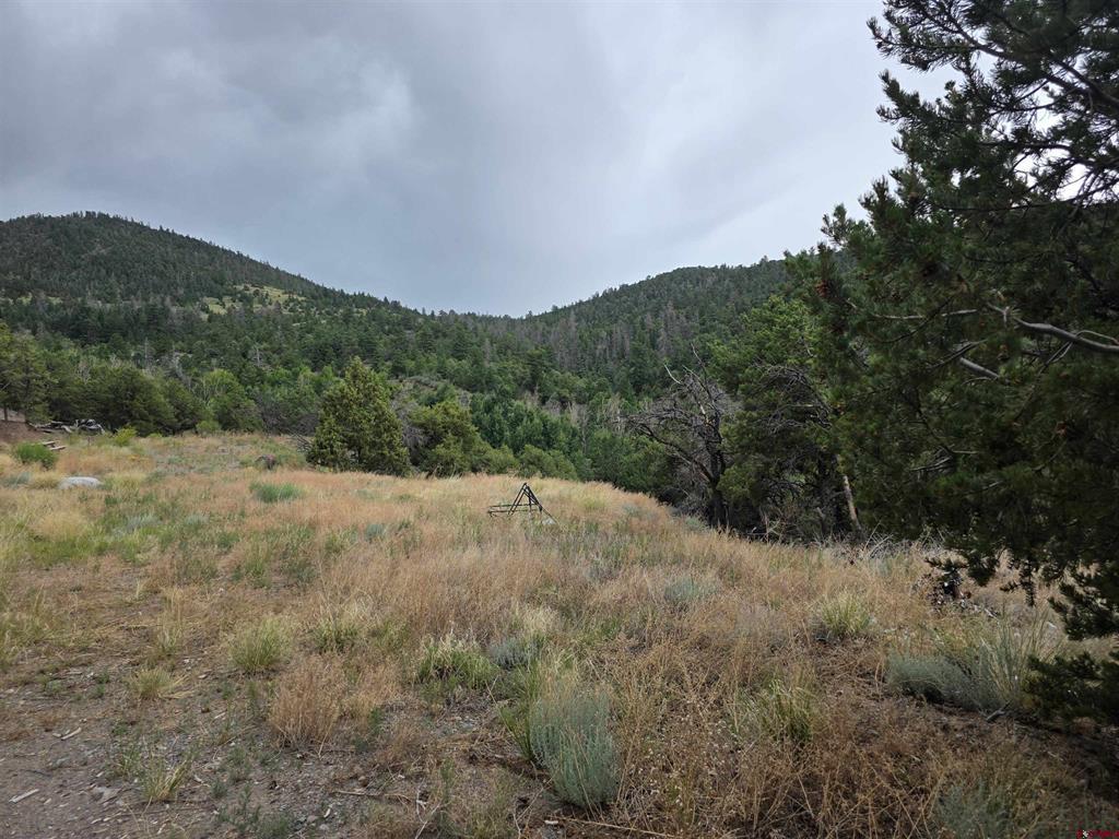 Tbd Joy Road San Luis CO 81152