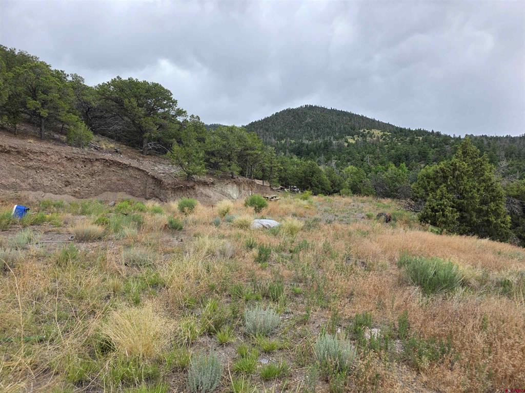 Tbd Joy Road San Luis CO 81152