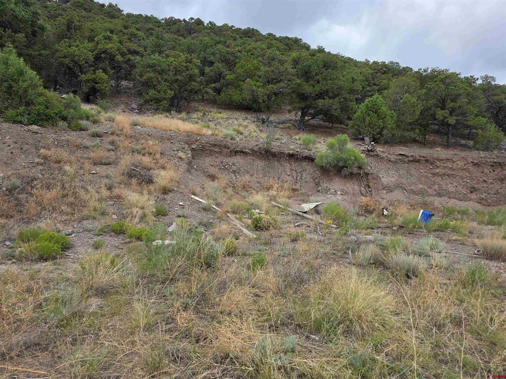 Tbd Joy Road San Luis CO 81152