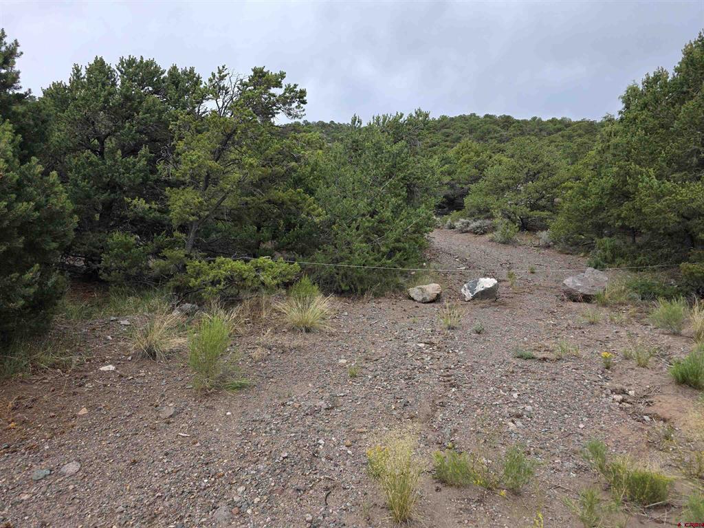 Tbd Joy Road San Luis CO 81152