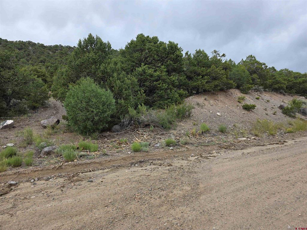 Tbd Joy Road San Luis CO 81152
