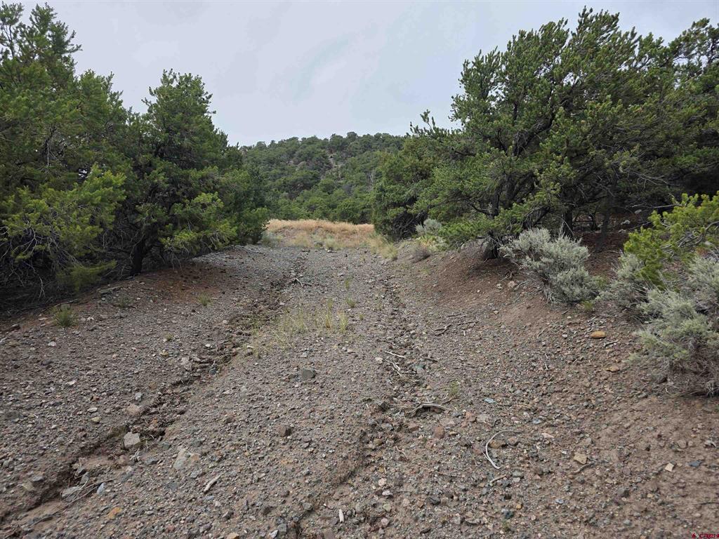 Tbd Joy Road San Luis CO 81152