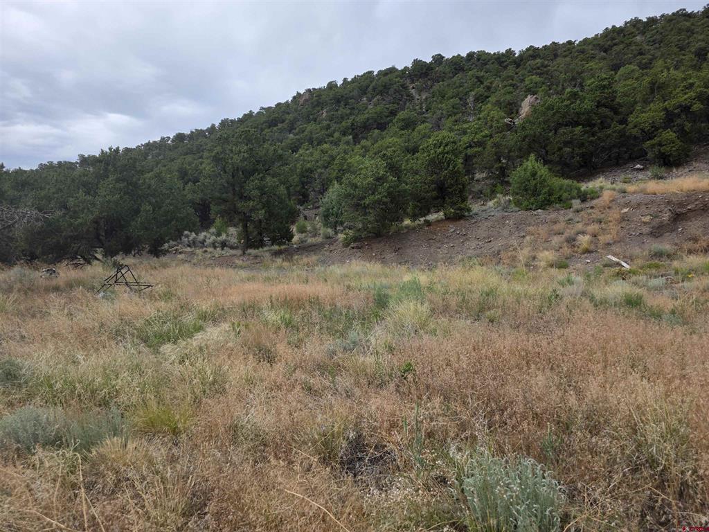 Tbd Joy Road San Luis CO 81152