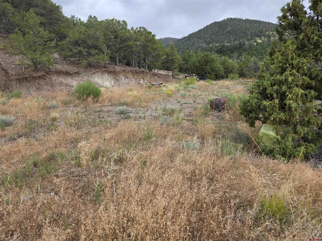 Tbd Joy Road San Luis CO 81152