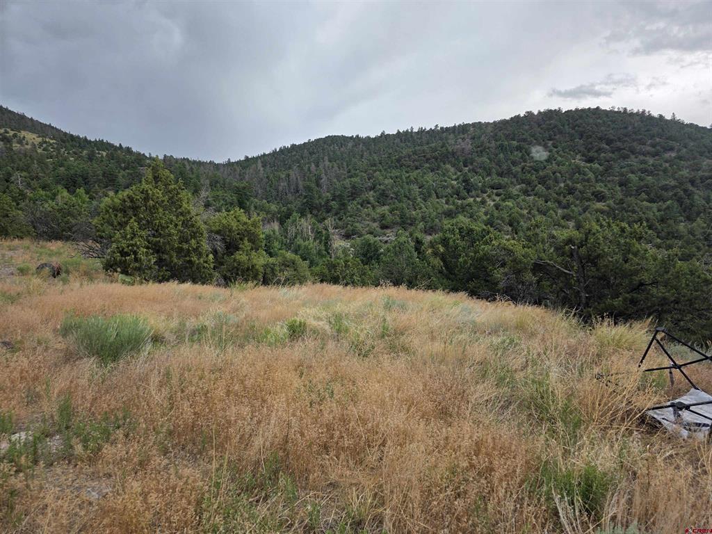 Tbd Joy Road San Luis CO 81152