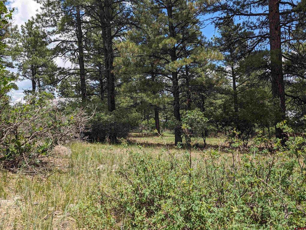 Pagosa Springs CO, 90 Balfour