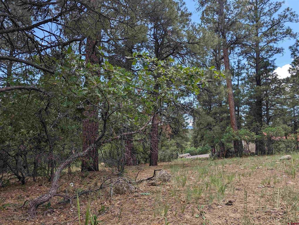 90 Balfour Court Pagosa Springs CO 81147