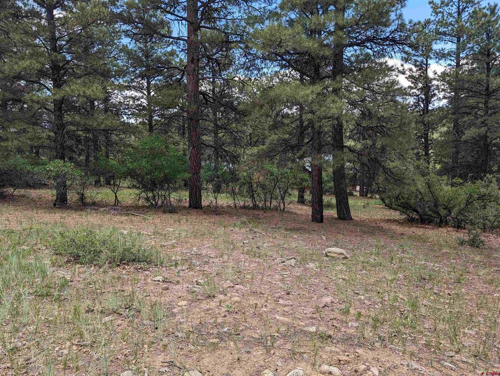 90 Balfour Court Pagosa Springs CO 81147