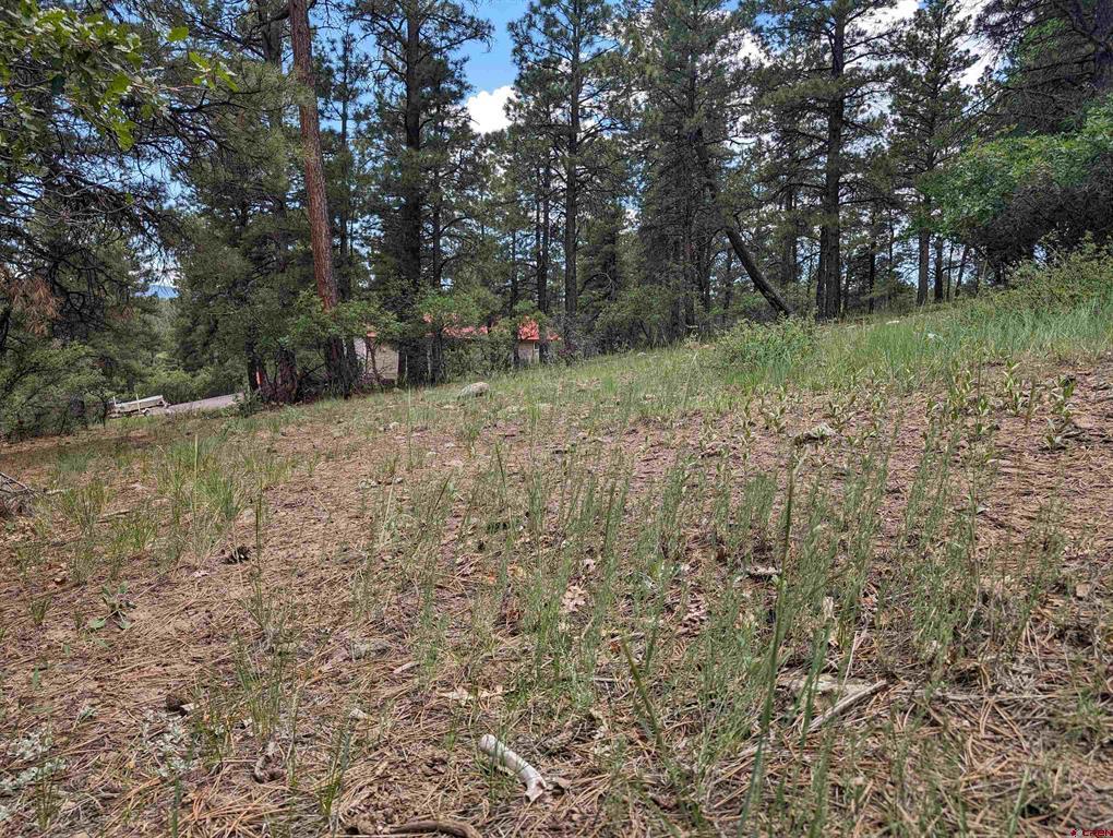 90 Balfour Court Pagosa Springs CO 81147