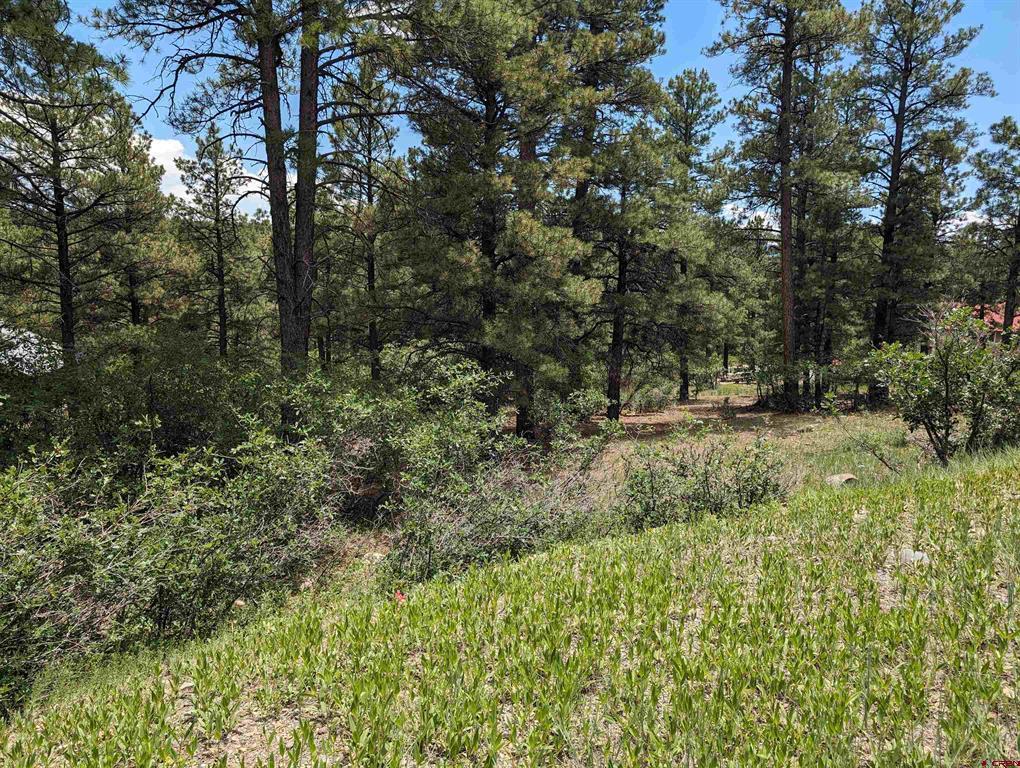 90 Balfour Court Pagosa Springs CO 81147