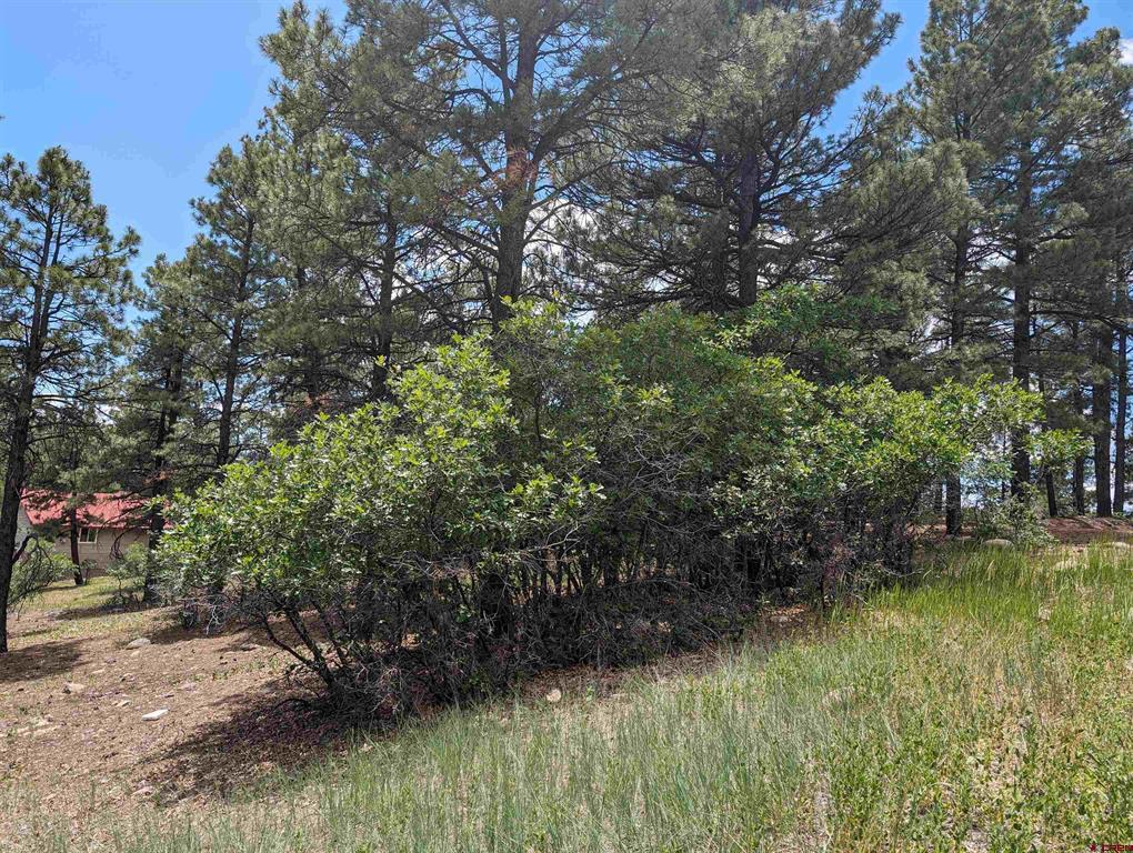 90 Balfour Court Pagosa Springs CO 81147