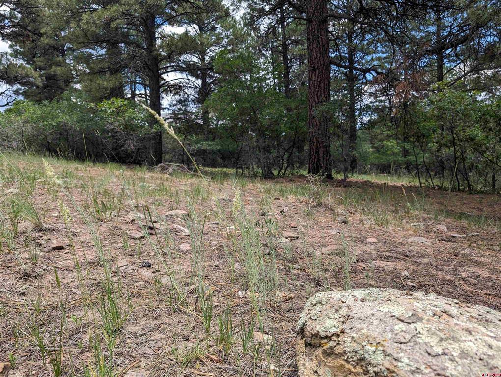 90 Balfour Court Pagosa Springs CO 81147