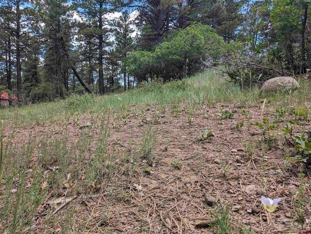 90 Balfour Court Pagosa Springs CO 81147