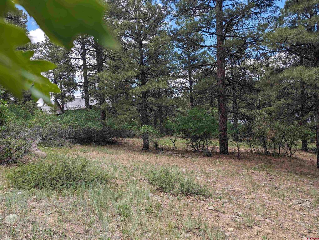 90 Balfour Court Pagosa Springs CO 81147