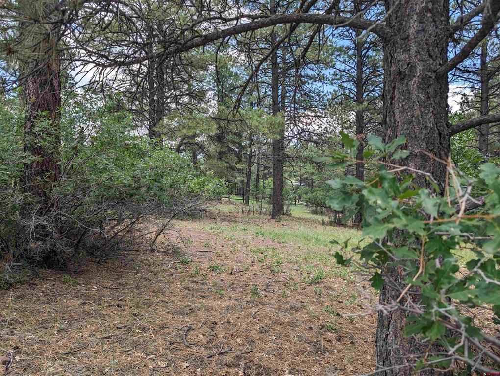 90 Balfour Court Pagosa Springs CO 81147