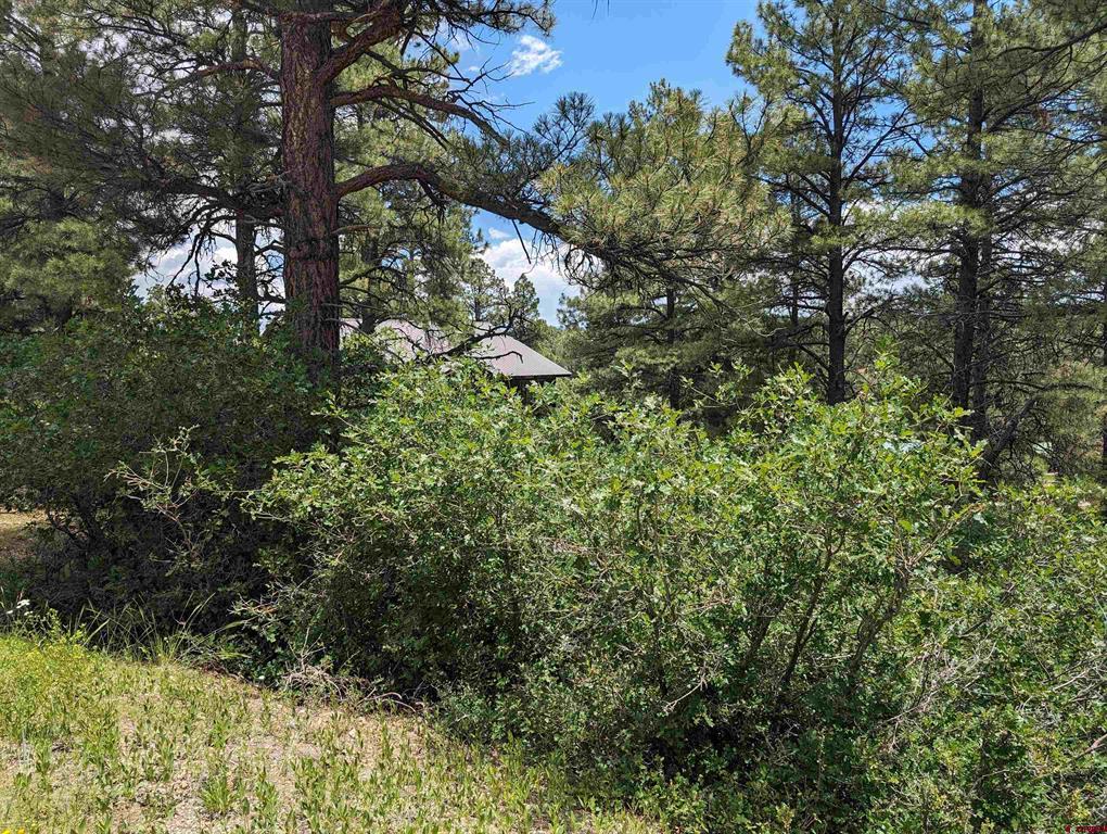 90 Balfour Court Pagosa Springs CO 81147