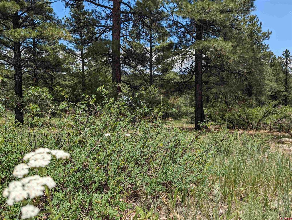 90 Balfour Court Pagosa Springs CO 81147