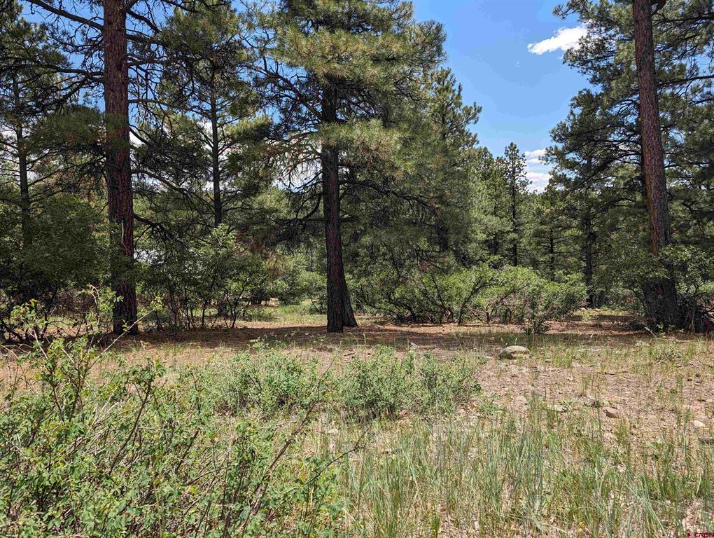 90 Balfour Court Pagosa Springs CO 81147