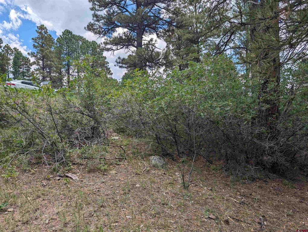 90 Balfour Court Pagosa Springs CO 81147