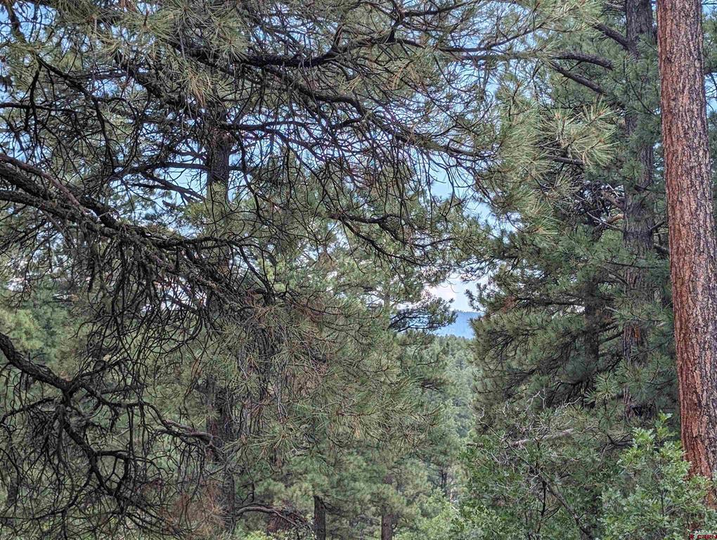 90 Balfour Court Pagosa Springs CO 81147