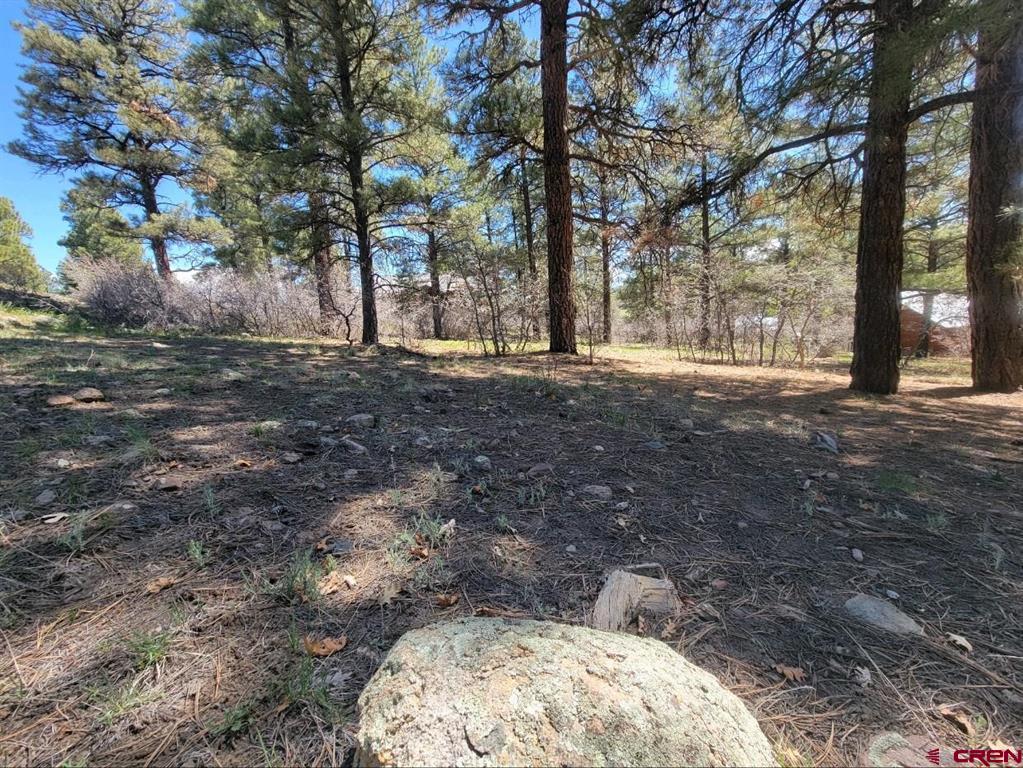 90 Balfour Court Pagosa Springs CO 81147