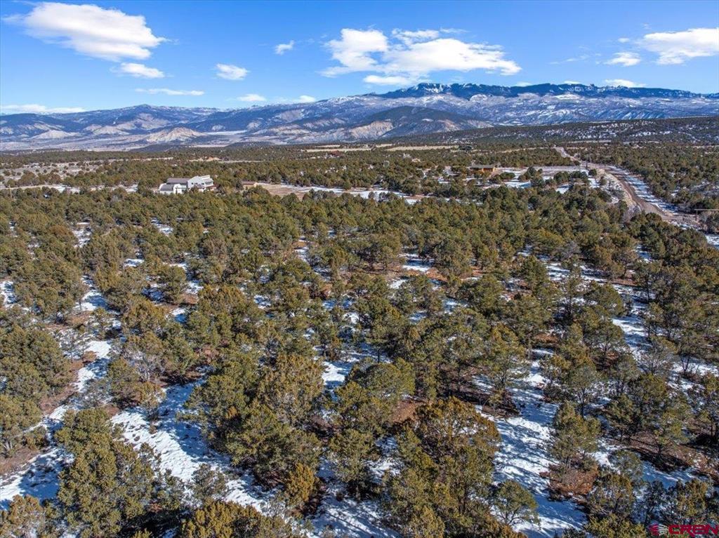 Lot 3 (TBD) County Road 22b Montrose CO 81403