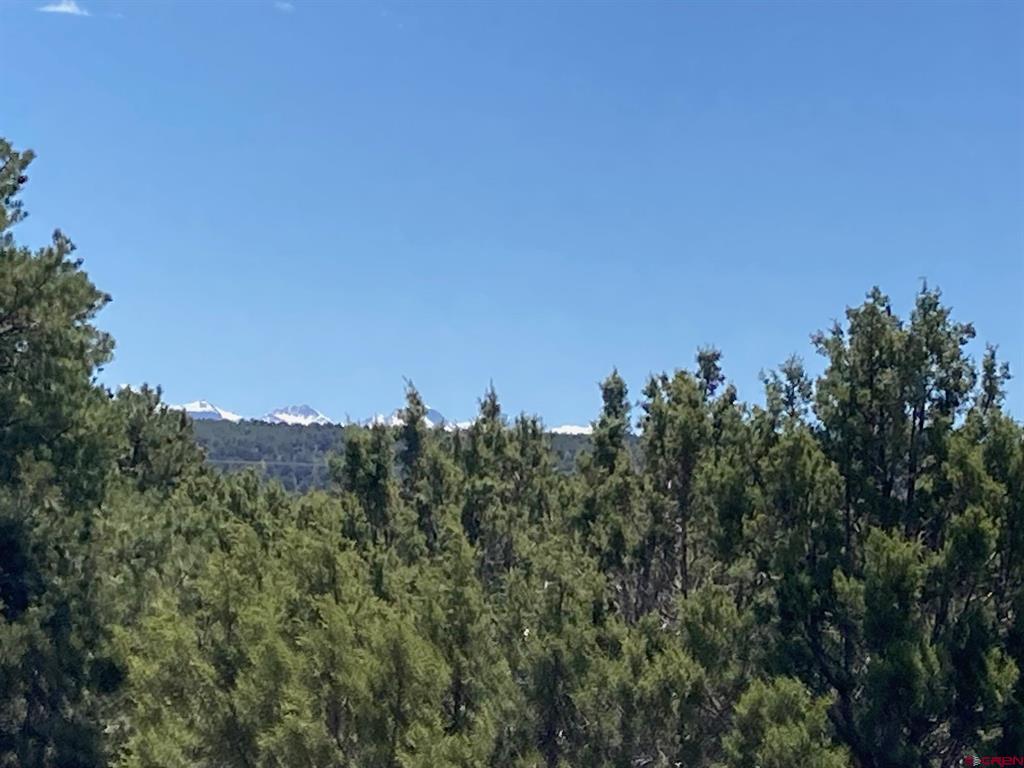 Lot 3 (TBD) County Road 22b Montrose CO 81403